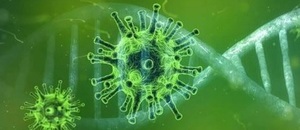 Coronavirus Coronavirus
