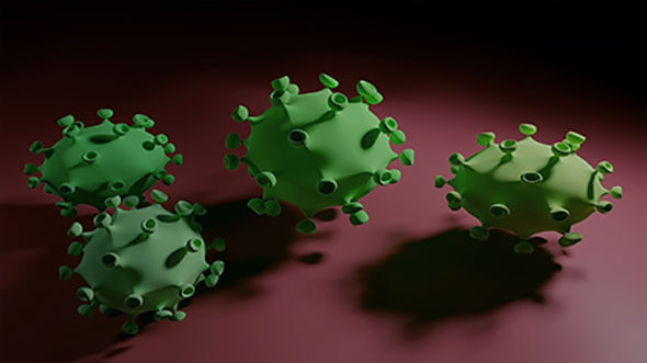 Corona virus