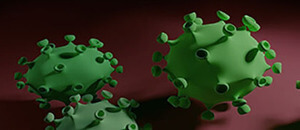 Corona virus Corona virus